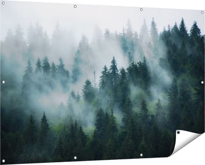 Gards Tuinposter Bos met Bomen in de Mist - 150x100 cm - Tuindoek - Tuindecoratie - Wanddecoratie buiten - Tuinschilderij