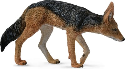 COLLECTA Figurine - Zadeljakhals - (M) - Wilde Dieren - Handgeschilderd - Miniatuur