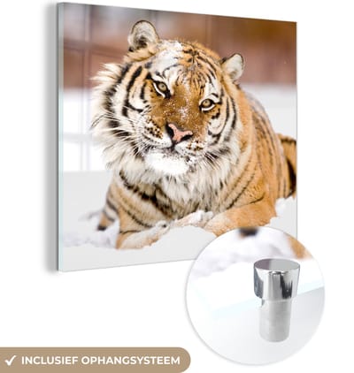 MuchoWow® Glasschilderij 50x50 cm - Schilderij acrylglas - Tijger - Sneeuw - Wit - Foto op glas - Schilderijen