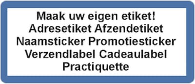 Blauw adres etiket - 250 stuks - gepersonaliseerd - luxe uitstraling - folieglans - rechthoek 21x48mm