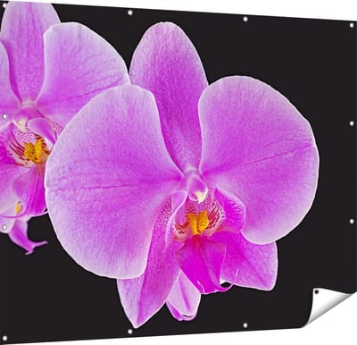 Gards Tuinposter Licht Paarse Orchidee - Bloem - 150x120 cm - Tuindoek - Tuindecoratie - Wanddecoratie buiten - Tuinschilderij