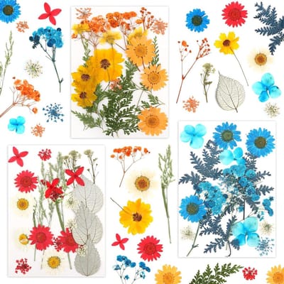 Gedroogde Bloemen - Natuurlijke Decoratie - Ambachtelijk Knutselen - Vacuüm Verpakt - 60 Stuks - Veelkleurig