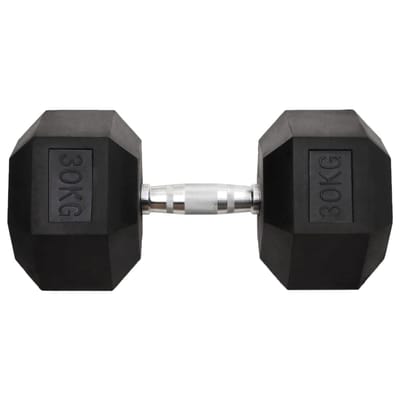 vidaXL - Halters - 30 - kg - gietijzer