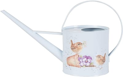 Gieter - Waterkan Planten - Planten Water Geven - Lange Schenktuit - 26 x 41 x 125 cm - Groen