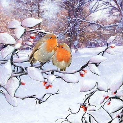 Ambiente - Lunch servetten - Robins On Branch