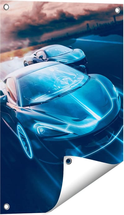 Gards Tuinposter Twee Raceauto's - Abstract - 40x60 cm - Tuindoek - Tuindecoratie - Wanddecoratie buiten - Tuinschilderij