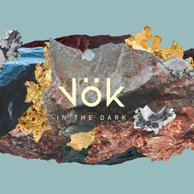 In The Dark - Vok