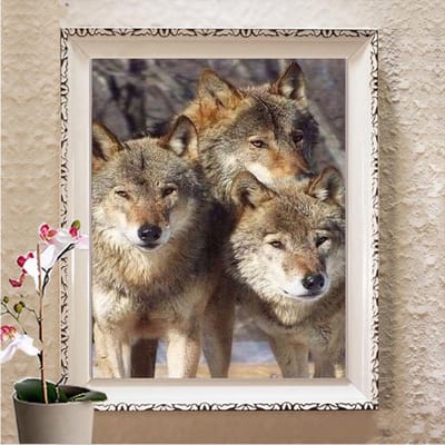 Diamant Diy Diamant borduurwerk 5d Diamond Craft schilderij Diamond Wall Arts Decor Full Square 20X30CM