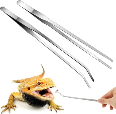 2 Stuks Extra Lange Roestvrijstalen Reptielen Voedingspincet Set voor Aquariums - Recht en Gebogen