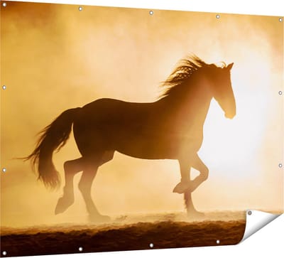 Gards Tuinposter Silhouet van een Paard - 160x120 cm - Tuindoek - Tuindecoratie - Wanddecoratie buiten - Tuinschilderij
