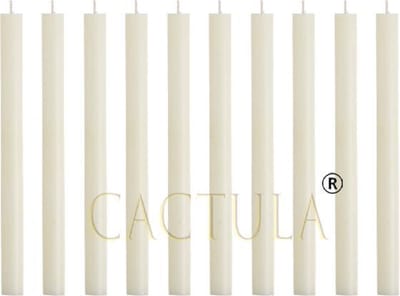 Cactula ivoren lange dinerkaarsen 30 cm diameter 2,1 | 10 stuks