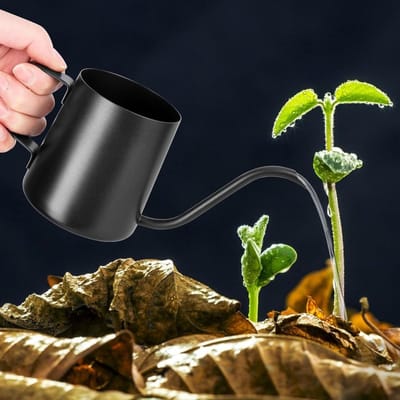 Mini Gieter voor Binnenplanten - 250 ml, Zwart, RVS, Lange Tuit, Ideaal voor Huishoudplanten en Vetplanten, Compact en Stijlvol