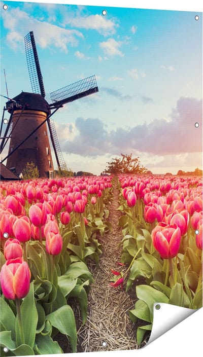 Gards Tuinposter Roze Tulpen Bloemenveld - met Windmolen - 80x120 cm - Tuindoek - Tuindecoratie - Wanddecoratie buiten - Tuinschilderij