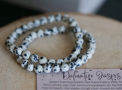 Dalmatiër Jaspis Armband, 6mm, edelstenen - Perfect cadeau voor mannen en vrouwen- Inclusief uitleg - Spiritueel - Dalmatian Jasper - Activatie - Zelfvertrouwen - Energie - Passie - Aarding - Moed - Negatieve energie - 100% NATUURLIJK