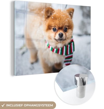 MuchoWow® Glasschilderij 160x120 cm - Schilderij acrylglas - Hond - Sjaal - Sneeuw - Foto op glas - Schilderijen