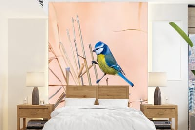 Behang - Fotobehang Vogel - Pimpelmees - Riet - Breedte 165 cm x hoogte 220 cm