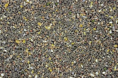 Krielkip-Kwartel Scharrel Mix - Kip - Versnaperingen - Overige dieren - Overige zaden
