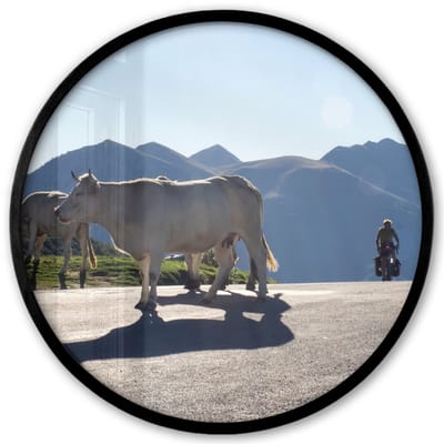 Poster in lijst Rond - Fotolijst 40x40 cm - Posters - Schotse hooglander - Licht - Berg - Natuur - Ronde posterlijst zwart - Decoratie - Wanddecoratie woonkamer - Muurdecoratie slaapkamer