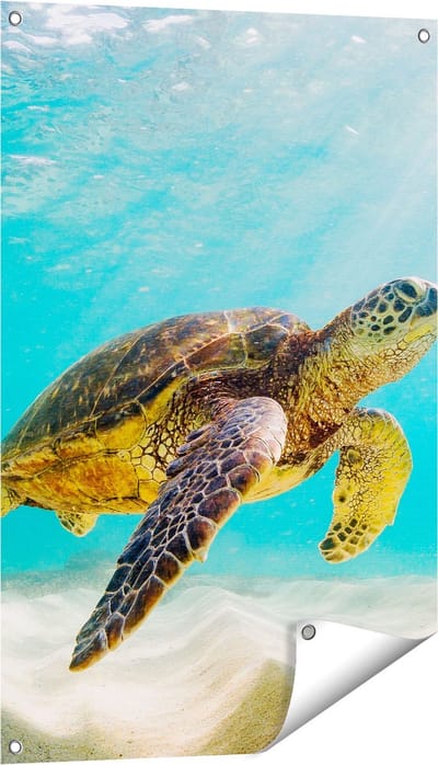 Gards Tuinposter Schildpad Zwemt in de Helder Blauwe Zee - 60x90 cm - Tuindoek - Tuindecoratie - Wanddecoratie buiten - Tuinschilderij
