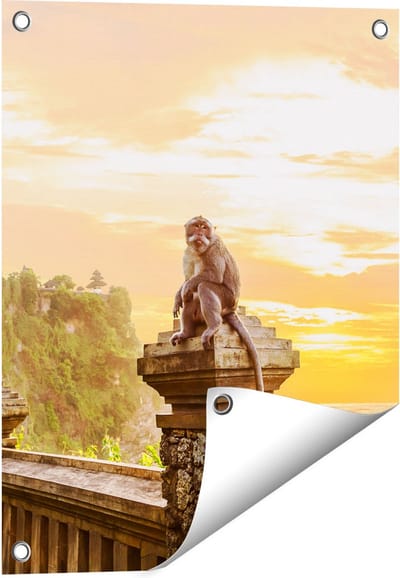 Gards Tuinposter Aap op de Uluwatu Tempel in Bali - 40x50 cm - Tuindoek - Tuindecoratie - Wanddecoratie buiten - Tuinschilderij