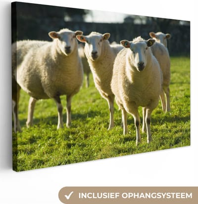 Canvas Schilderij Schapen - Dieren - Wol - 30x20 cm - Wanddecoratie