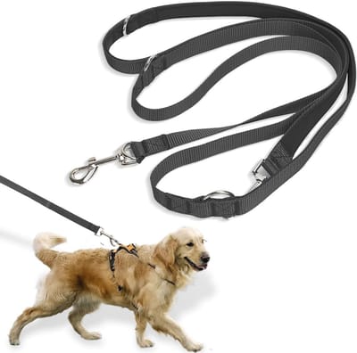 Verstelbare hondenriem 2,5 m voor training en wandelen - Nylon, multifunctioneel en comfortabel