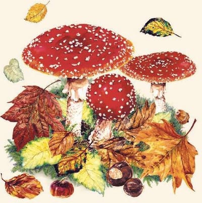 CraftEmotions servetten 5st - Paddenstoelen en herfstbladeren 33x33cm Ambiente 13311025 (09-23)