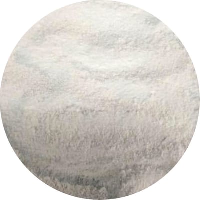 Van Beekum Specerijen - Natriumbenzoaat E211 - 25 KG - Zak (bulk verpakking)