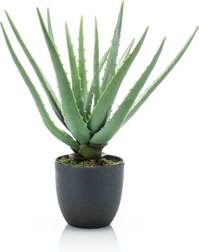 Emerald - Kunstplant in pot Aloe Vera 35cm - Kunstplant voor binnen