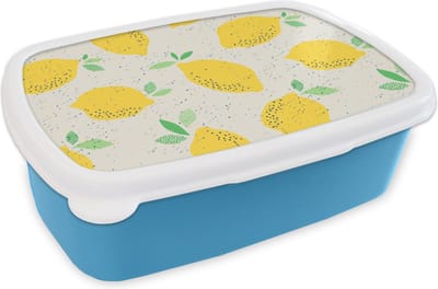 Broodtrommel Blauw - Lunchbox - Brooddoos - Citroen - Fruit - Vintage - Design - 18x12x6 cm - Kinderen - Jongen