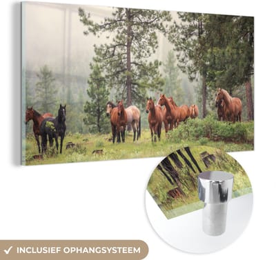MuchoWow® Glasschilderij 40x20 cm - Schilderij acrylglas - Paarden - Bos - Mist - Foto op glas - Schilderijen