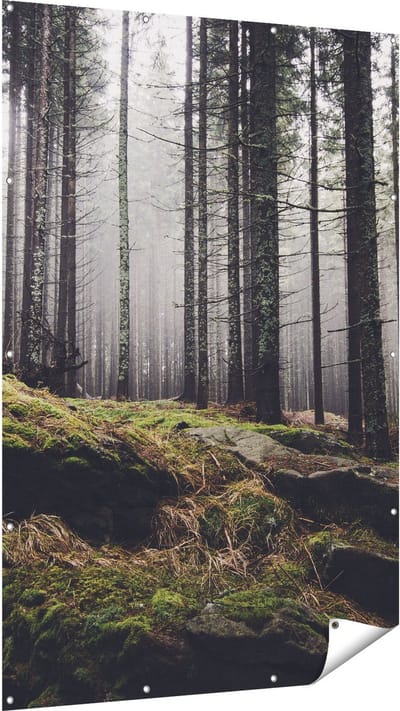 Gards Tuinposter Bos met Mos op Rotsen - 120x180 cm - Tuindoek - Tuindecoratie - Wanddecoratie buiten - Tuinschilderij