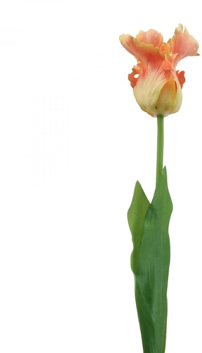 Kunstbloem papegaai tulp oranje lentebloem 63cm