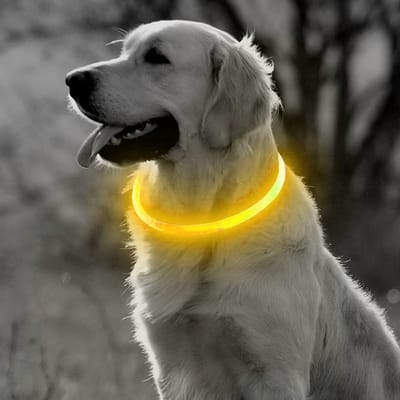 LED Halsband Hond – Lichtgevende Halsband Hond Geel – USB Oplaadbaar – 65 cm – Veiligheidsband