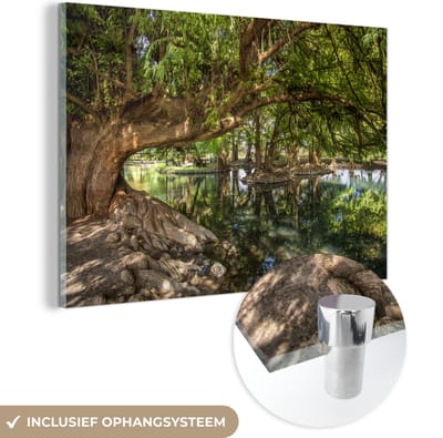 ® Glasschilderij 180x120 cm - Schilderij acrylglas - Het gifgroene bos in het Nationaal park Lago de Camécuaro in Mexico - Foto op glas - Muurdecoratie woonkamer - Wanddecoratie slaapkamer - Schilderijen