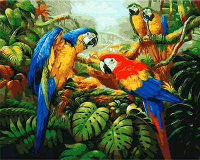 Sellaio® - Schilderen op Nummer Volwassenen - Schilderen op nummer vogels en papegaai - 40x50 cm - Jungle en Ara - Paint by Number - Hobby Pakket - Met 3 kwasten - Zonder lijst - Met ophanghaakjes