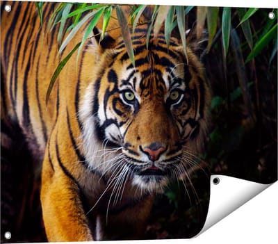 Gards Tuinposter Tijger in de Jungle - 80x60 cm - Tuindoek - Tuindecoratie - Wanddecoratie buiten - Tuinschilderij