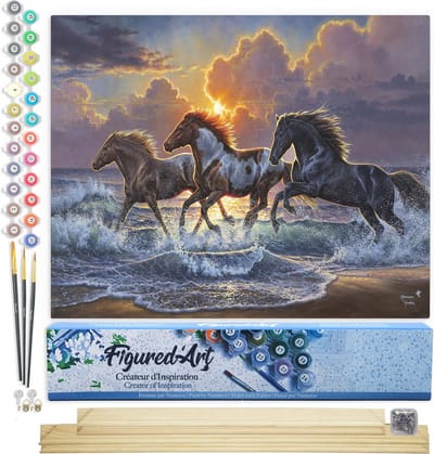 Figured'Art Schilderen op Nummer Volwassenen canvas Drie paarden en zee - Handwerk acrylverf Kit DIY Compleet - 40x50cm met DIY houten lijst