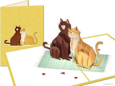 Popcards pop-up kaarten – 2 Vertederende Poezen Knuffelen Katten Kittens Verliefd Verloofd Getrouwd Felicitatie, Verjaardag pop-up kaart 3D wenskaart