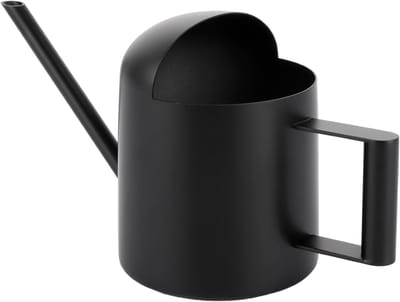 Kamerplanten gieter 300 ml mini van roestvrij staal met lange uitloop voor potplanten irrigatie (zwart)