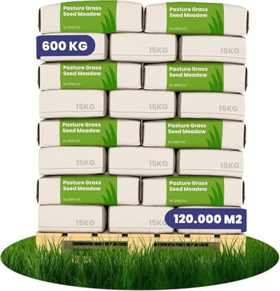Weide Graszaad Meadow - Speciaal voor Paarden en Kleinvee (600kg, 3 ha) - Graszaad Weide - Graszaad Weidemengsel - Schapengras - Weidegraszaad - Paarden Graszaad - Organifer