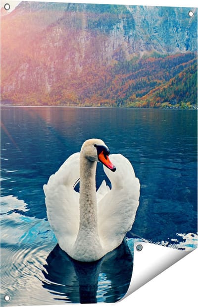 Gards Tuinposter Zwaan op het Water in de Bergen - 60x80 cm - Tuindoek - Tuindecoratie - Wanddecoratie buiten - Tuinschilderij