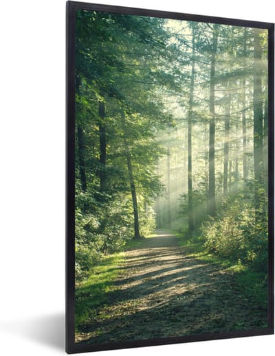 Poster in lijst - Bos - Pad - Zon - Pos - Fotolijst - Wanddecoratie - Woonkamer - Slaapkamer - 60x90 cm - Kamerdecoratie - Poster - Foto in lijst