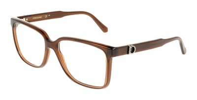 Ferragamo SF3043E Transparent brown 57/16/145 MAN Brilmonturen