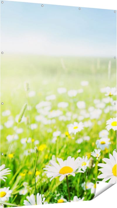 Gards Tuinposter Bloemenveld van Madeliefjes - Bloemen - 120x180 cm - Tuindoek - Tuindecoratie - Wanddecoratie buiten - Tuinschilderij