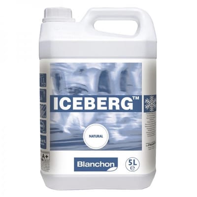 Blanchon iceberg parketvernis 5 l Naturel
