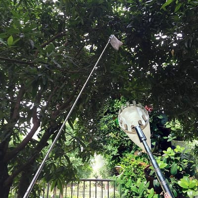 Fruitplukker Paal - Oogst Gereedschap - Fruit Verzamelen - Telescopische Verstelbaar - Tot 10 Meter - Zilver