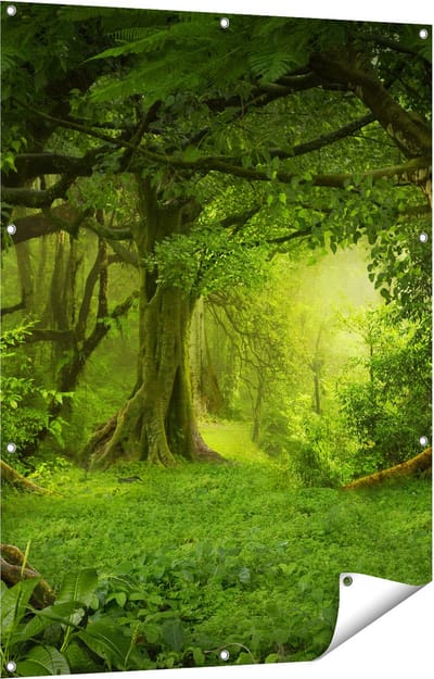 Gards Tuinposter Groene Tropische Jungle Bos - 90x120 cm - Tuindoek - Tuindecoratie - Wanddecoratie buiten - Tuinschilderij