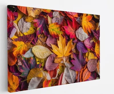 Saammp Canvas Schilderij - Geel Blad - Herfst - Landschap - Natuur - 45x30 - Foto op canvas - Wanddecoratie - Muurdecoratie Woonkamer - Slaapkamer decoratie - Canvas Print