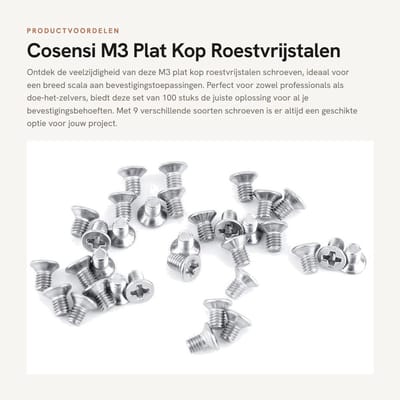Dailygoods- Schroeven 100 Stuks - Roestvrij Staal - Verzonken Bevestigingsbouten - Hout - Algemene Bevestiging - Professionele Kwaliteit - Bevestigingsmateriaal